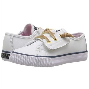 SPERRY BRAND NEW IN BOX!